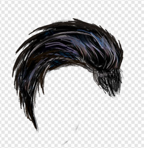Black Hair PNG Transparent Images Download