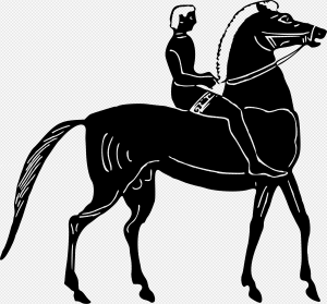 Black Horse PNG Transparent Images Download