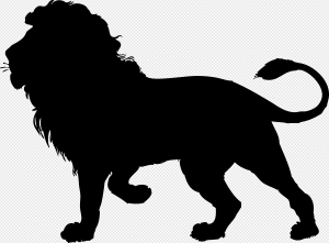 Black Lion PNG Transparent Images Download