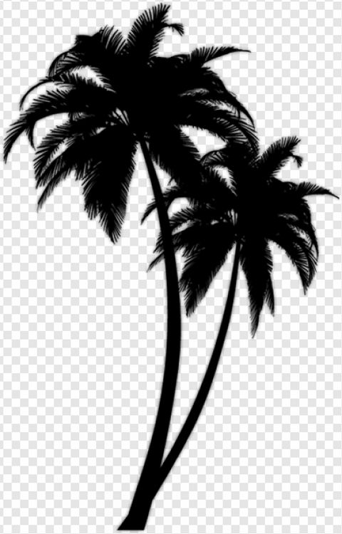 Black Palm Tree PNG Transparent Images Download - PNG Packs