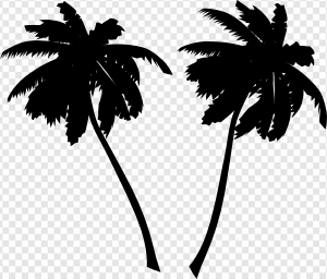 Black Palm Tree PNG Transparent Images Download