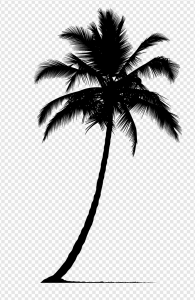 Black Palm Tree PNG Transparent Images Download
