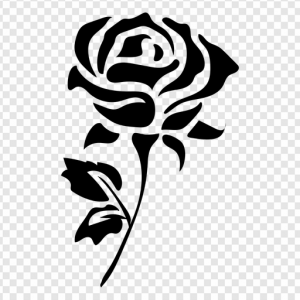 Black Rose PNG Transparent Images Download