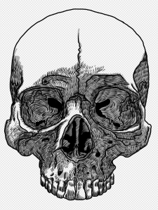 Black Skull PNG Transparent Images Download