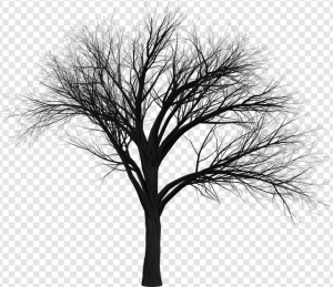 Black Tree PNG Transparent Images Download