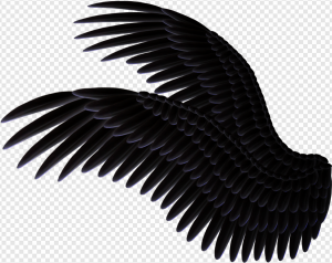 Black Wing PNG Transparent Images Download