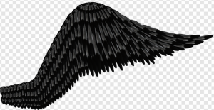 Black Wing PNG Transparent Images Download