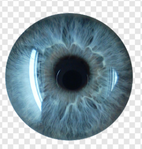 Blue Eye PNG Transparent Images Download