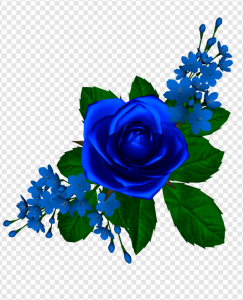 Blue Rose PNG Transparent Images Download