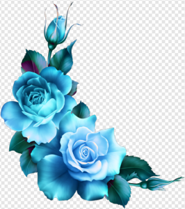 Blue Rose PNG Transparent Images Download