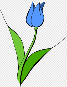 Blue Tulip PNG Transparent Images Download