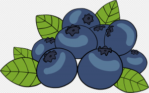 Blueberries PNG Transparent Images Download