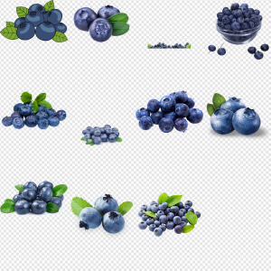 Blueberries PNG Transparent Images Download
