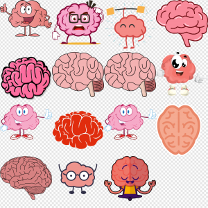 Brain Cartoon PNG Transparent Images Download