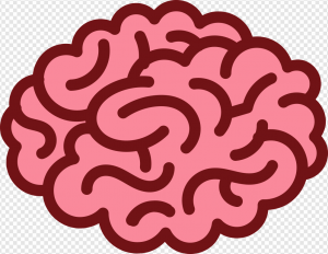 Brain Icon PNG Transparent Images Download