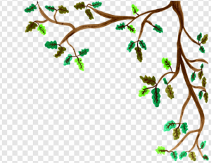 Branches PNG Transparent Images Download
