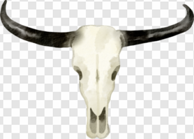 Bull Skull PNG Transparent Images Download