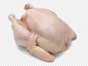 Thanksgiving Turkey Meat PNG Transparent Images Download