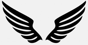Wing PNG Transparent Images Download