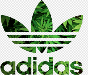 Adidas PNG Transparent Images Download