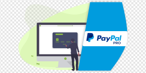 PayPal PNG Transparent Images Download