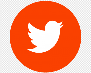 Twitter Logo PNG Transparent Images Download