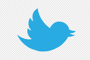 Twitter Logo PNG Transparent Images Download