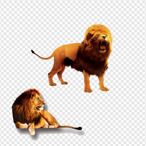 Lion King PNG Transparent Images Download