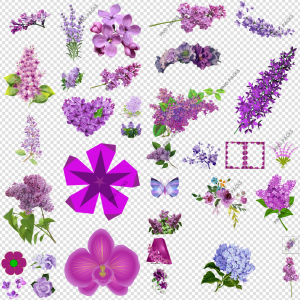 Lilac PNG Transparent Images Download