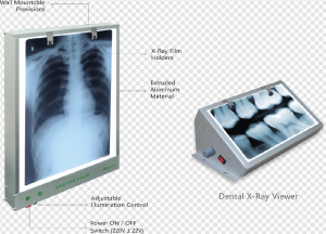 X-Ray PNG Transparent Images Download