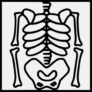 X-Ray PNG Transparent Images Download