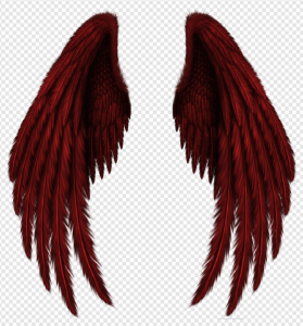 Wings PNG Transparent Images Download