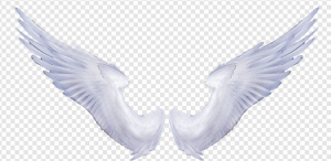 Wings PNG Transparent Images Download