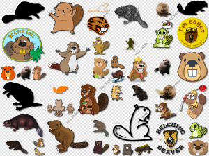Beaver PNG Transparent Images Download