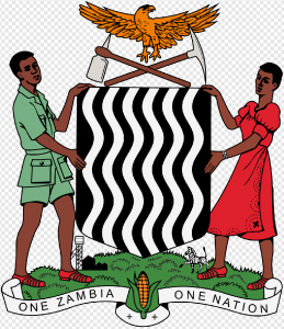 Zambia Flag PNG Transparent Images Download