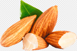 Almond PNG Transparent Images Download