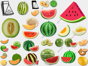 Melon PNG Transparent Images Download