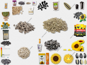 Sunflower Seeds PNG Transparent Images Download