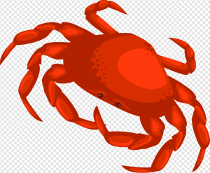 Crab PNG Transparent Images Download
