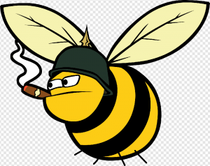 Bee PNG Transparent Images Download
