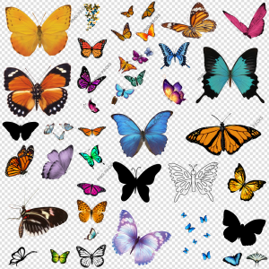 Butterfly PNG Transparent Images Download