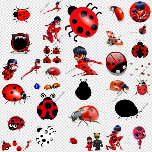Ladybug PNG Transparent Images Download