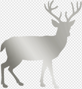 Deer PNG Transparent Images Download