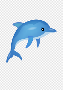 Dolphin PNG Transparent Images Download