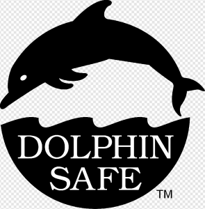Dolphin PNG Transparent Images Download