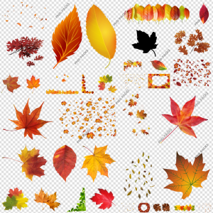 Autumn Leaves PNG Transparent Images Download