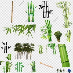 Bamboo PNG Transparent Images Download