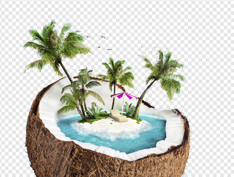 Beach PNG Transparent Images Download - PNG Packs