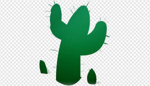 Cactus PNG Transparent Images Download