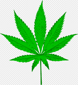 Cannabis PNG Transparent Images Download